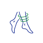 Fast Recovery Icon