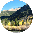 Susan S. profile picture